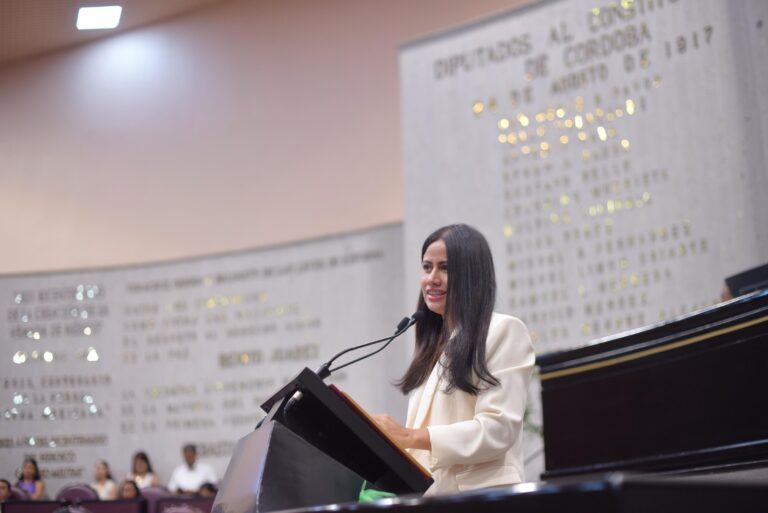 Pide diputada solución a constantes apagones en la zona Veracruz-Boca del Río