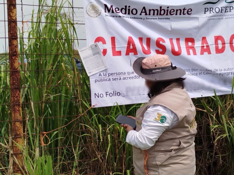 ¡Multa millonaria! Clausura Profepa el basurero “Las Matas”