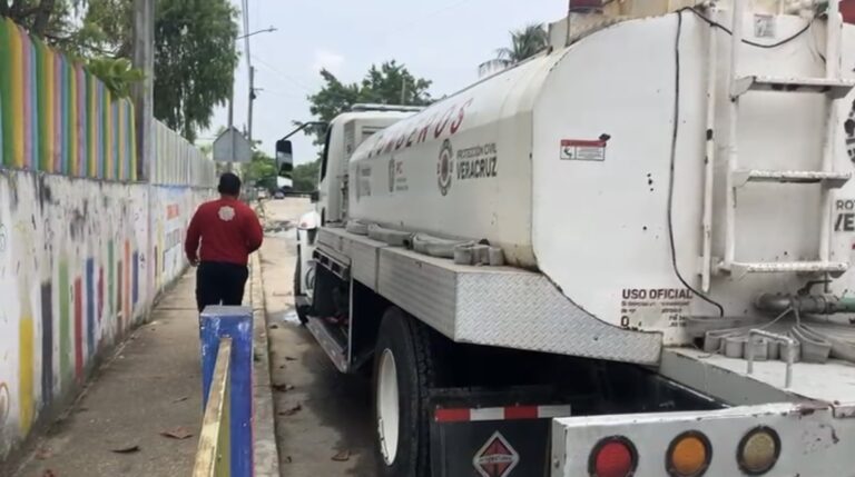 Nueve afectados por ataque de abejas en un jardín de niños de Coatzacoalcos
