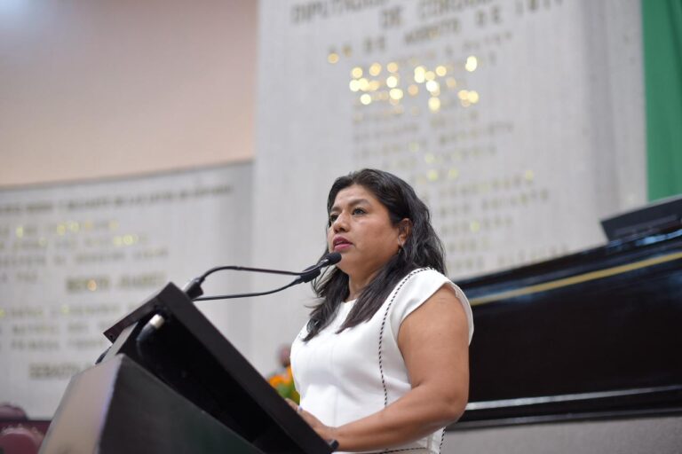 Ante desastres naturales, unidad, empatía y cooperación, llama diputada