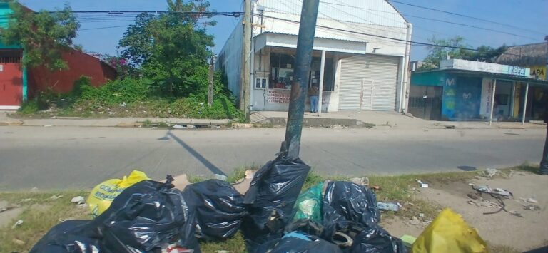 Limpia Pública intensifica recolección; restablece 80 por ciento del servicio