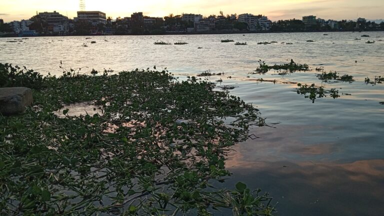 Investigadores de la UNAM instalan equipos de monitoreo para evaluar la calidad del aire en Villa Allende