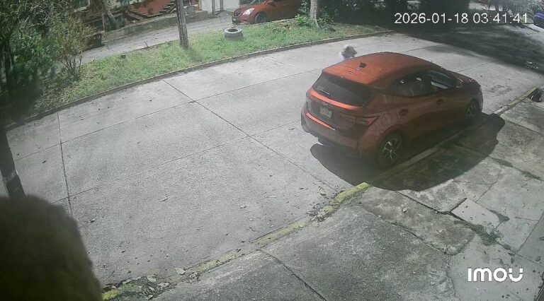 Vuelven los cristalazos en Coatzacoalcos