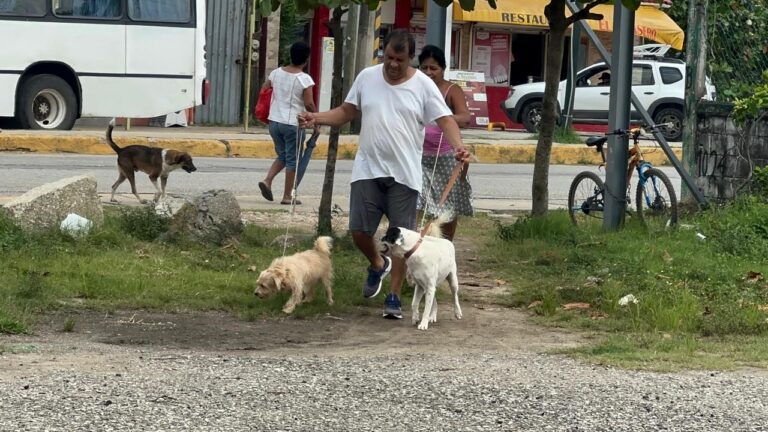 Endurece CEPAC filtros de adopción ante irresponsabilidad de dueños