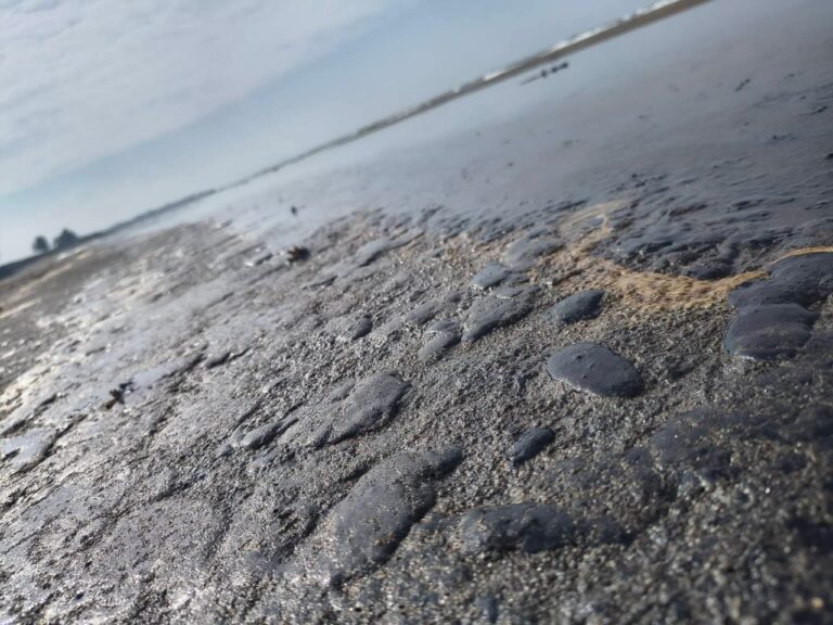 La Red Corredor Arrecifal documenta 16 lugares costeros, impactados por el derrame de crudo en el sur