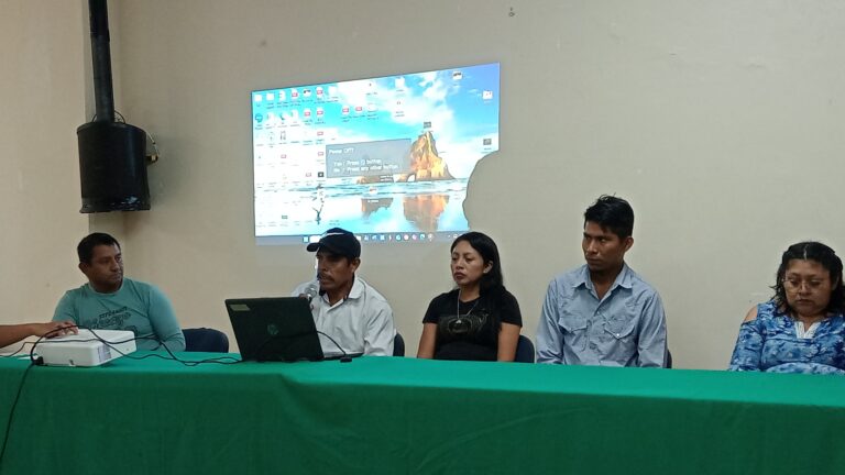 Comunidades indígenas del sur de Veracruz exigen restauración integral de ecosistemas del mar y lagunas