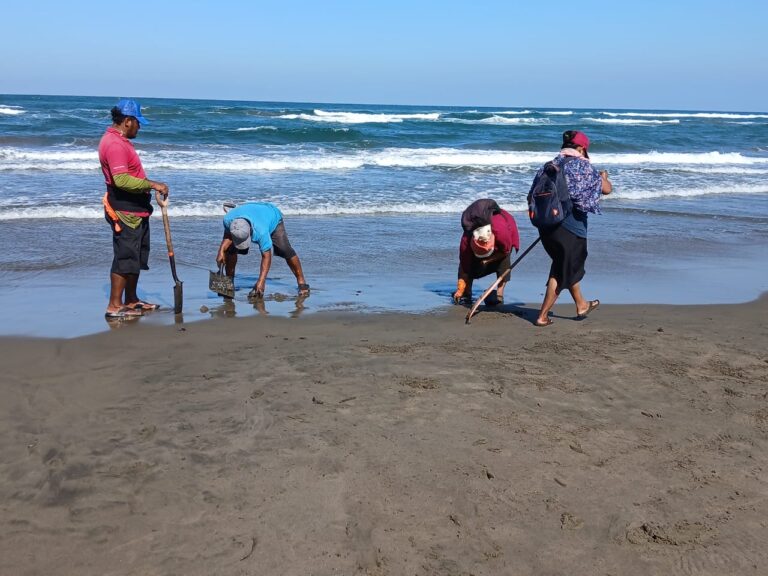 Brigadas ciudadanas en Pajapan enfrentan derrame de crudo sin equipo de protección; denuncian riesgos a la salud