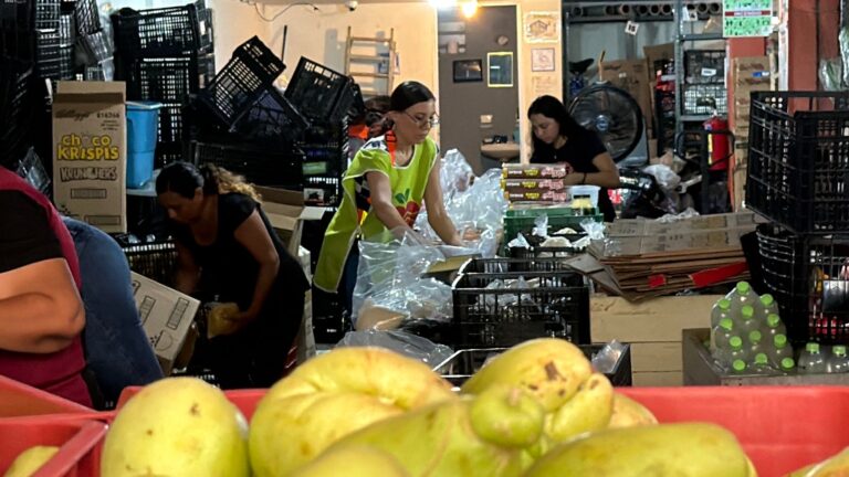 Crecen 16% apoyos alimentarios en el sur