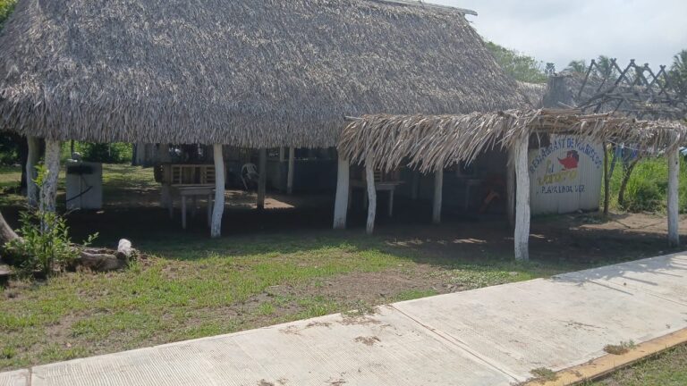 Tras derrame de hidrocarburo, pescadores y restauranteros de Playa Linda buscan reactivar economía por cuenta propia