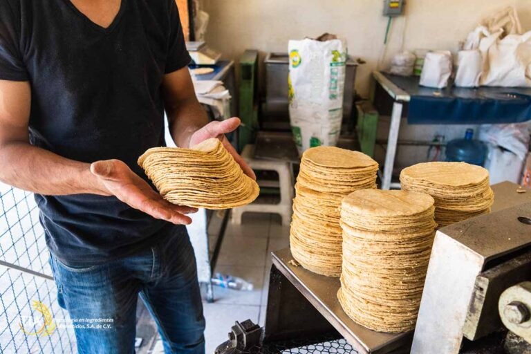 Estabilidad en el precio de la tortilla: Industriales descartan nuevos ajustes para el resto del año