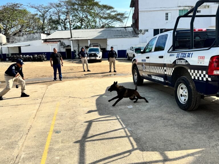 La Policía Municipal fortalece su Unidad Canina con certificación de agentes K9