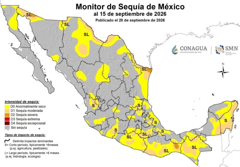 Aumenta a 11 los municipios con sequía moderada en Veracruz y se extiende a la zona centro: SMN