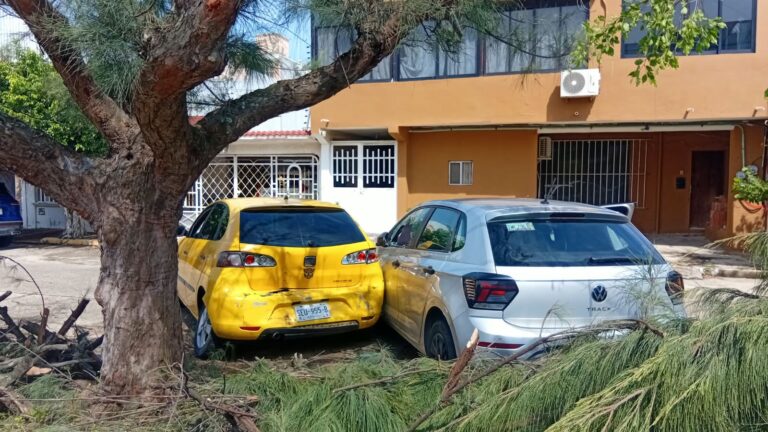 Tras persecución y choque en Coatzacoalcos, cae individuo buscado por fraude en Xalapa